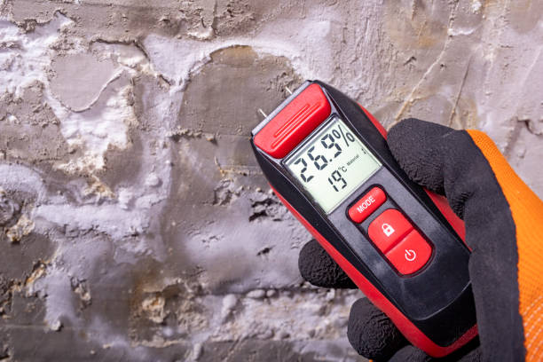 Best Commercial Mold Removal  in Pewee Valley, KY