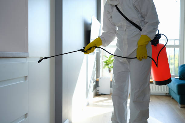 Best Mold Removal and Inspection  in Pewee Valley, KY