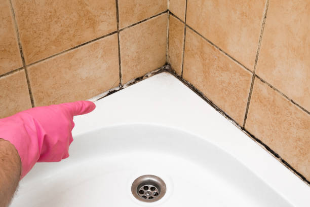 Best Crawl Space Mold Removal  in Pewee Valley, KY